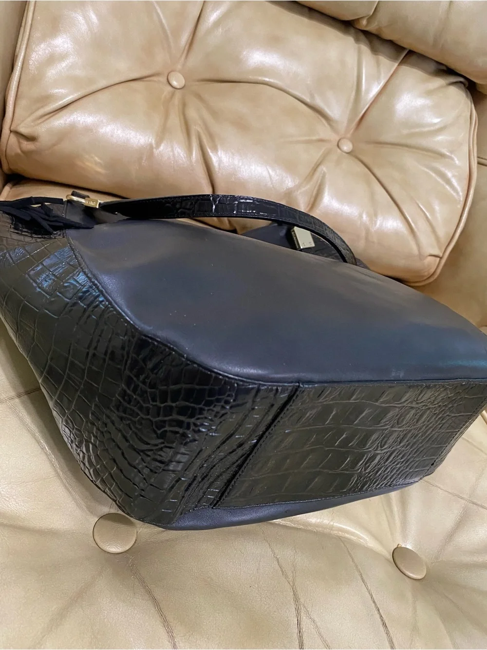Brahmin authentic retired